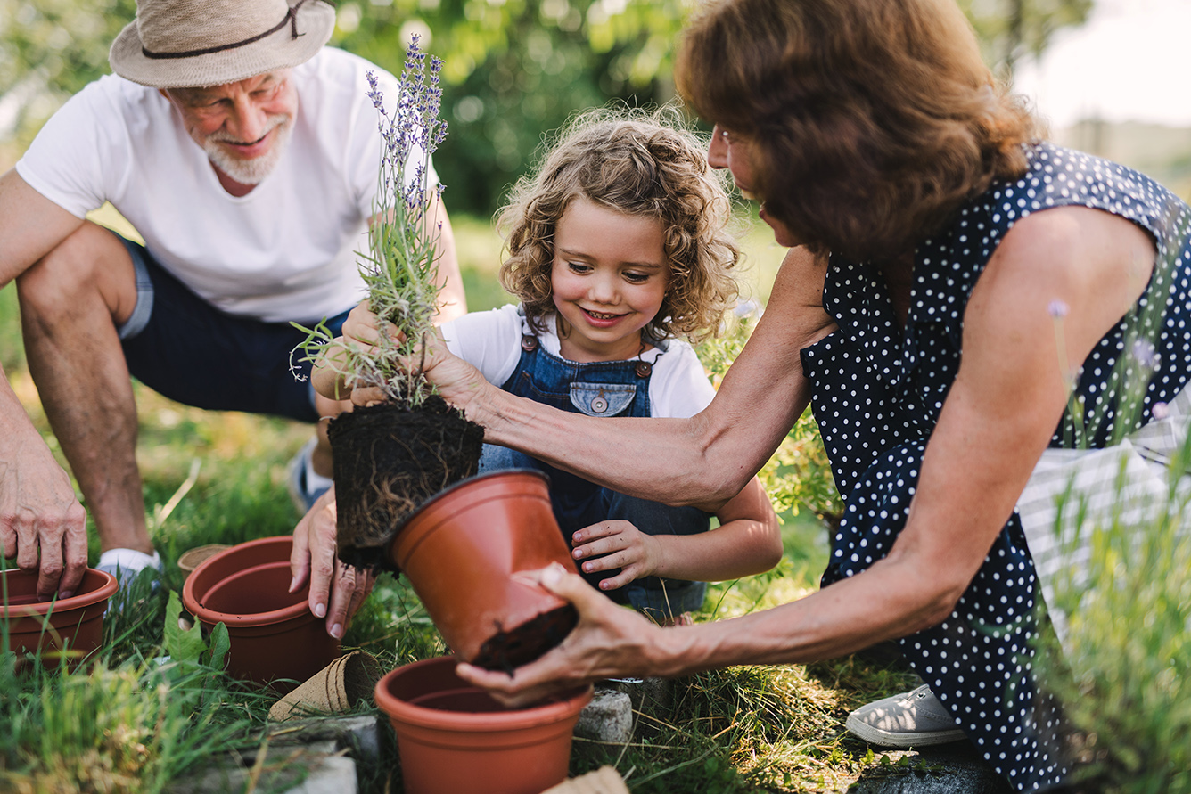 Estate Planning and Services | Smarter Retirement Solutions